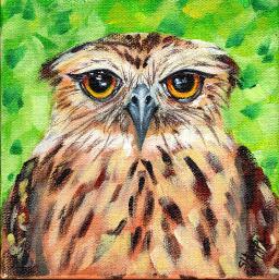 #9  Bird Hop 8x8 Print. Grumpy  Owl by The Art Sherpa