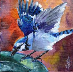 #11 Bird Hop 8x8 Print. Blue Jay by The Art Sherpa