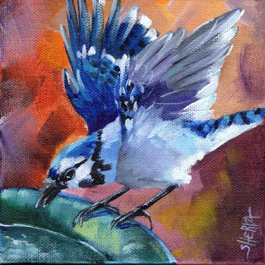 #11 Bird Hop 8x8 Print. Blue Jay by The Art Sherpa