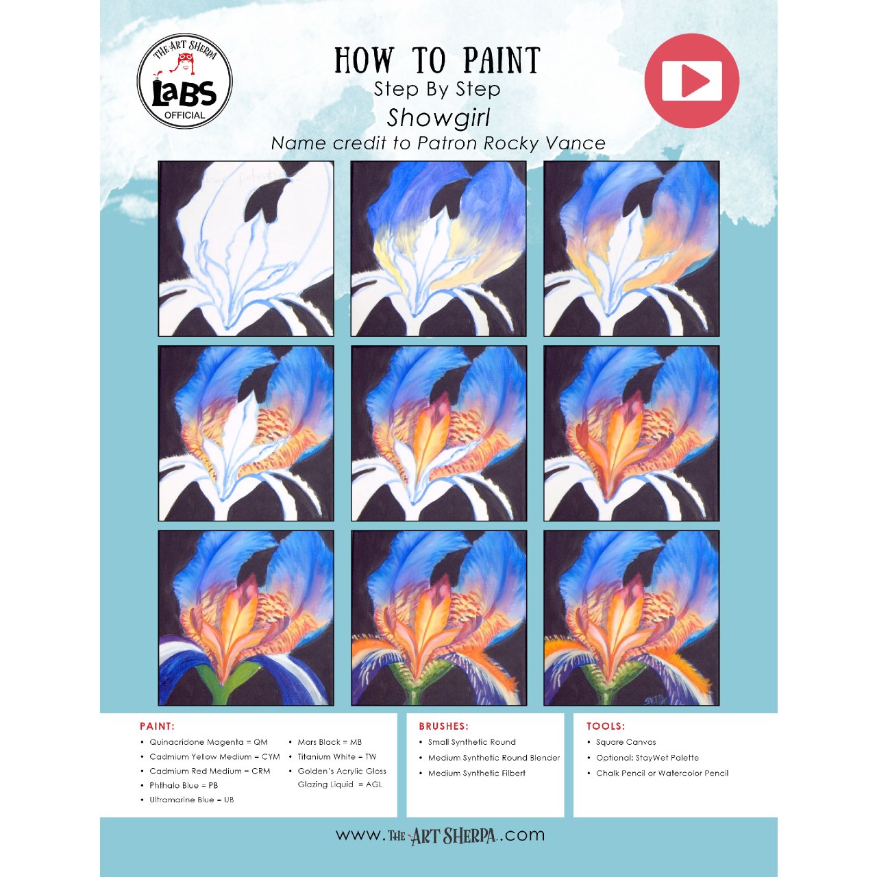 Close Up Iris Flower 