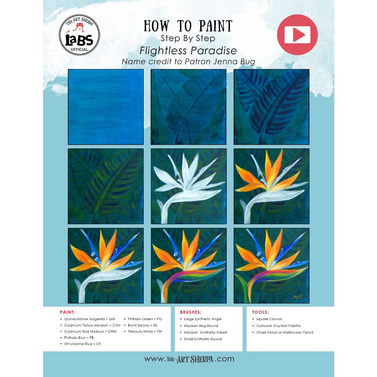 Bird Of Paradise Flower