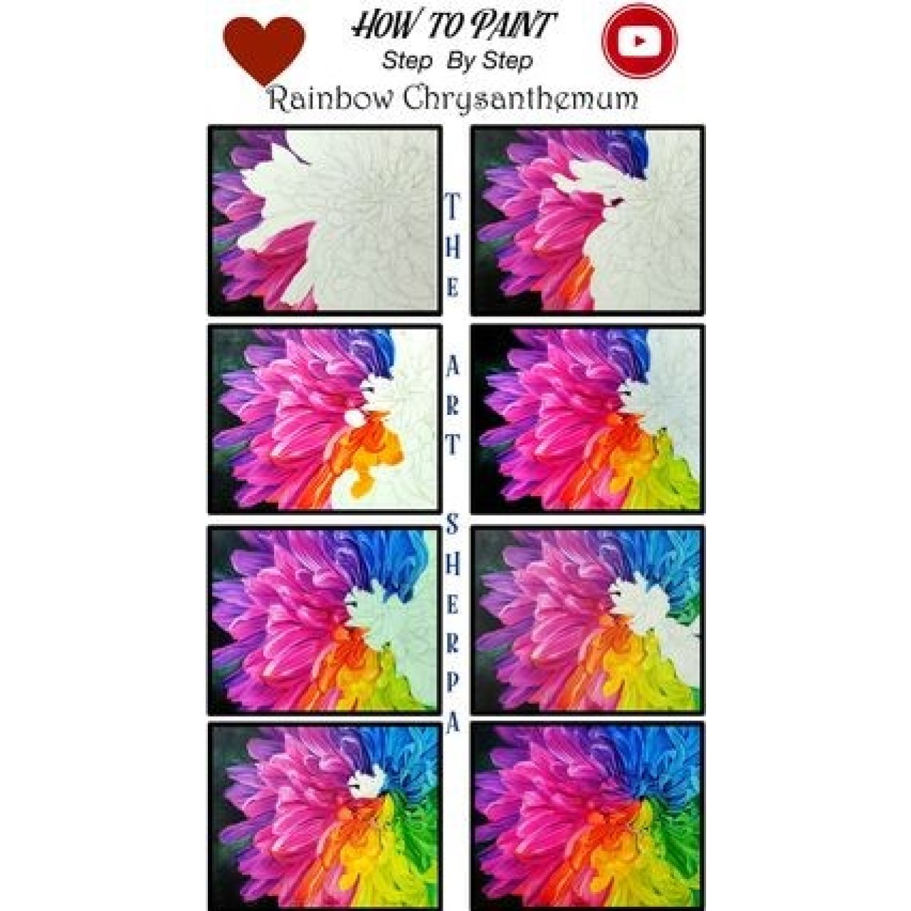 Rainbow Chrysanthemum