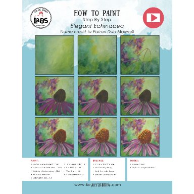 Purple Coneflower Daisy 