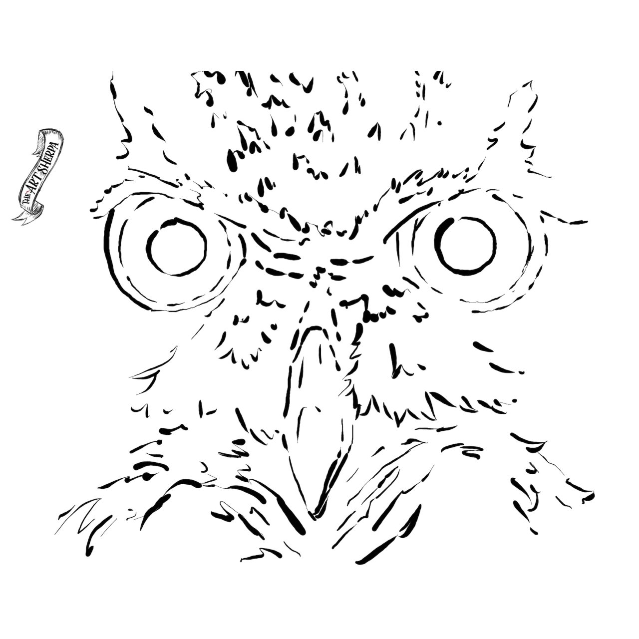 Owl Eyes and Feathers