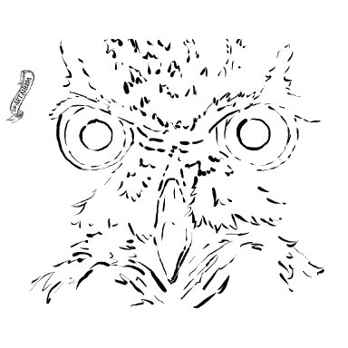 Owl Eyes and Feathers