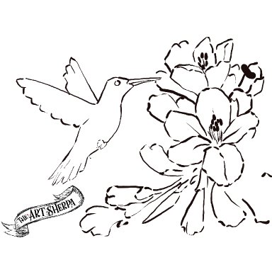 Hummingbird and Pink Hibiscus Flower 