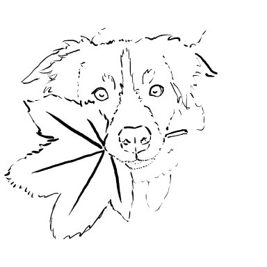 Cute Dog holding Fall autumn leaf 2023 