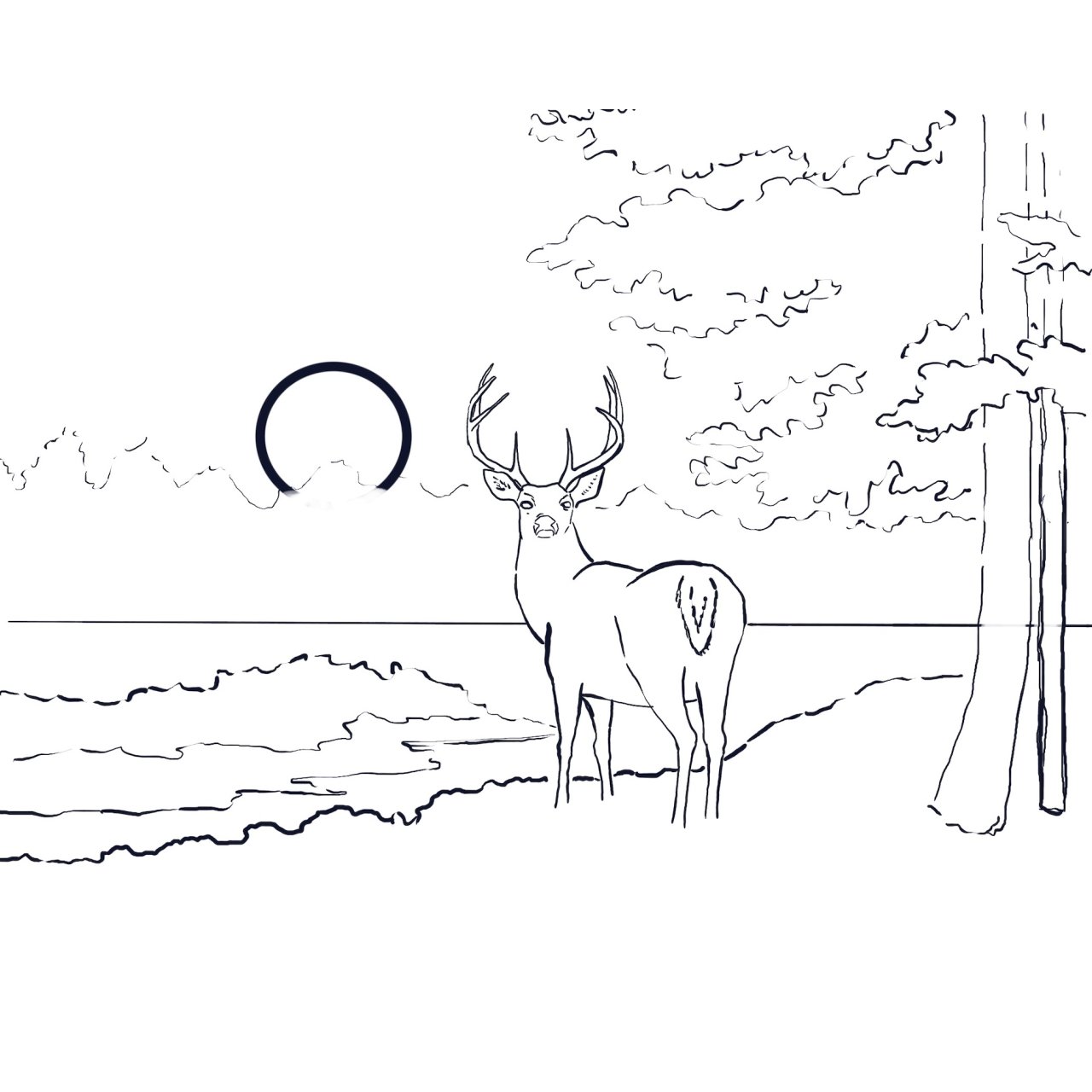 Autumn  stag full landscape 2023 Traceable 