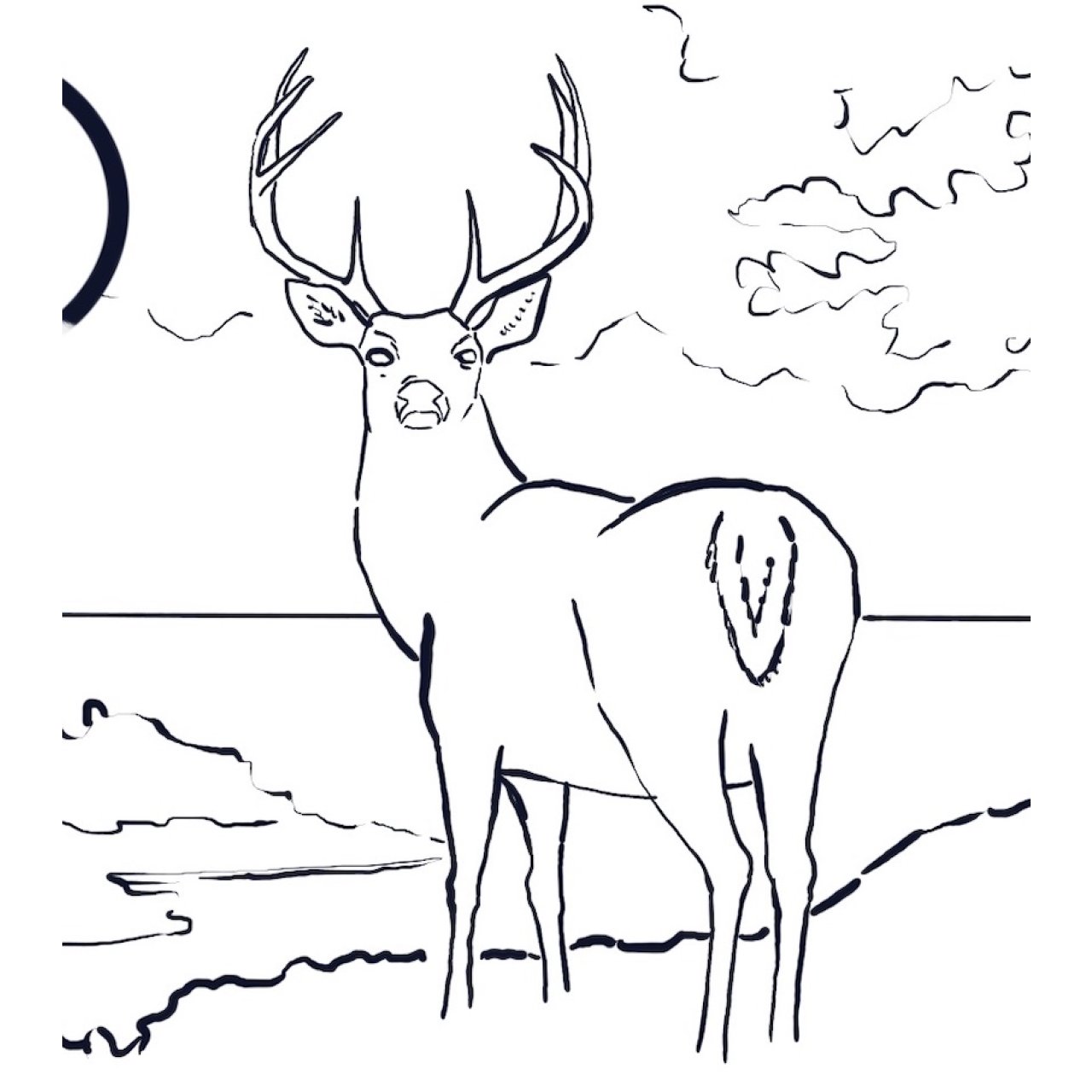 Autumn  stag ONLY  landscape 2023 Traceable 