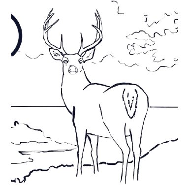 Autumn  stag ONLY  landscape 2023 Traceable 