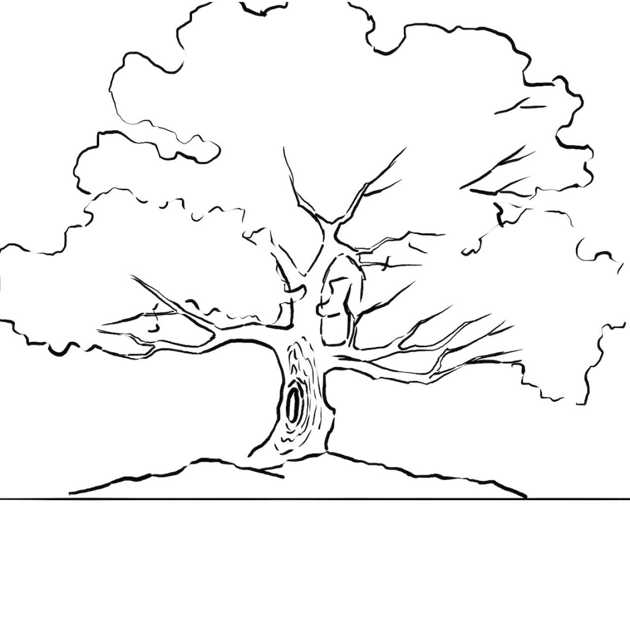 Giant Autumn oak traceable - fall tree 