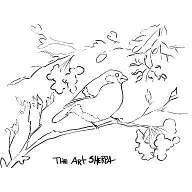 Bullfinch on a winter Branch 2023 