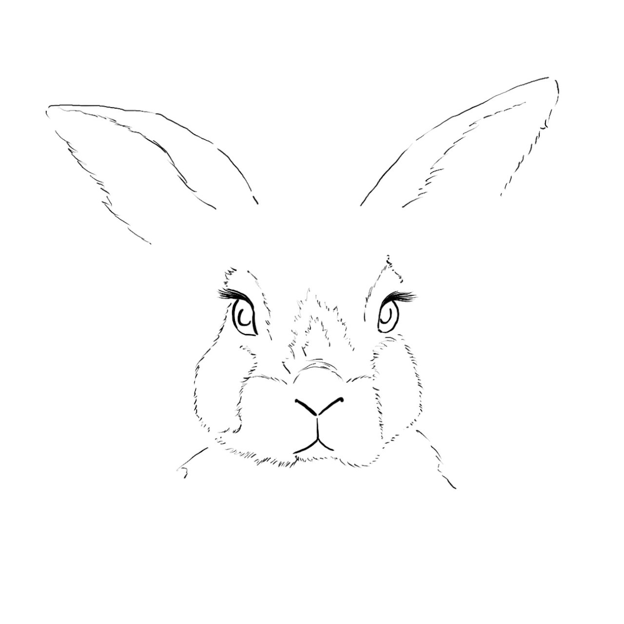 Patron Line and Wash Bunny Rabbit 