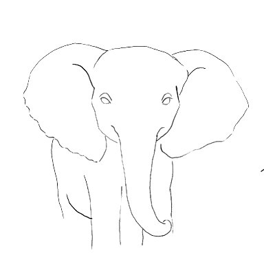 Watercolor Elephant traceable 2024 patron