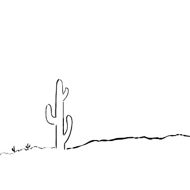 Lightening storm desert cactus 