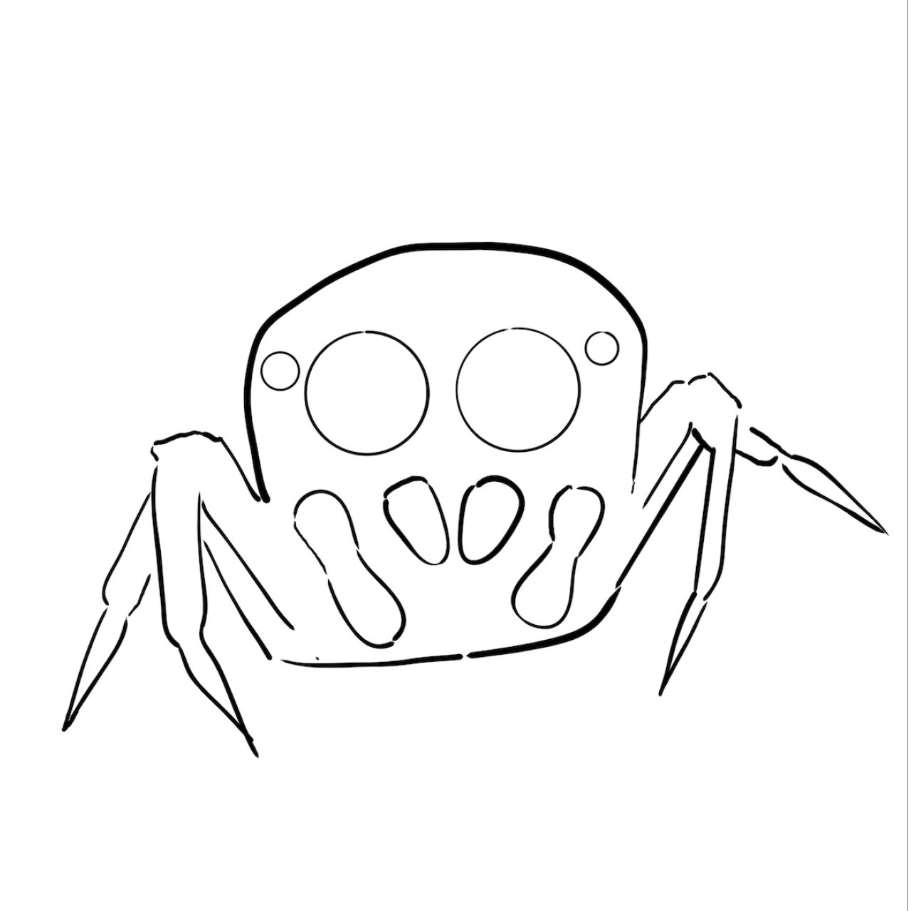 Spider 13 days of Sherpaween \ Halloween 