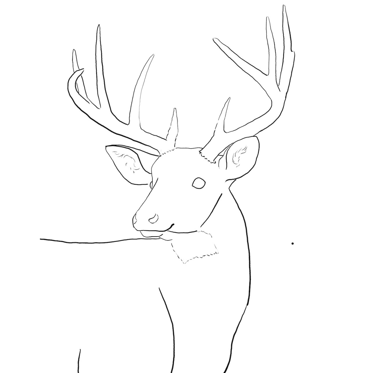 Autumn Stag Deer 2024 