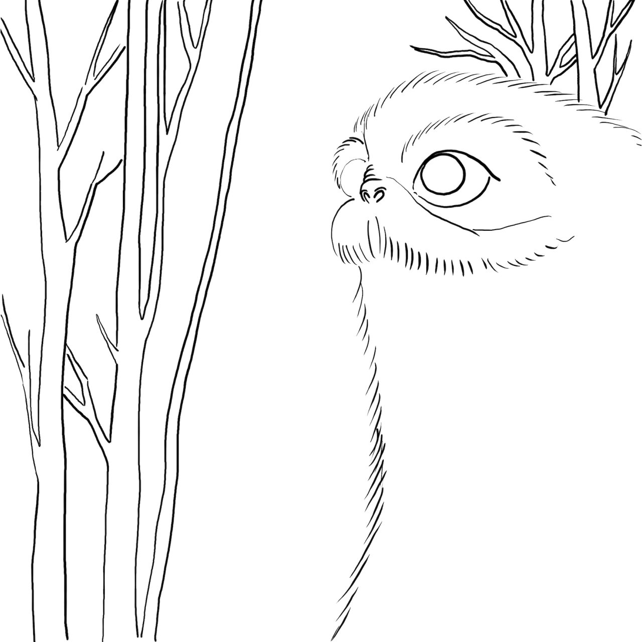 Creature halloween 2024 