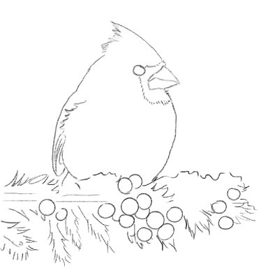 Red Cardinal in Snowy Pine with Berries 2024 