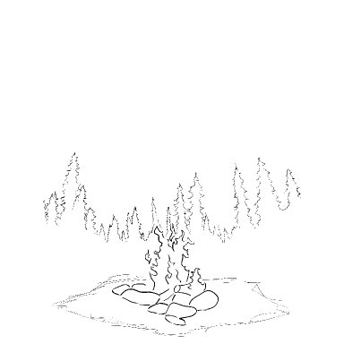 Aurora Borealis Campfire 2024 