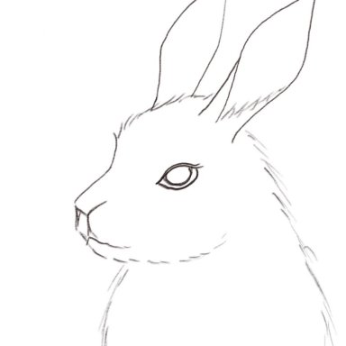 Bunny Rabbit in Lilacs