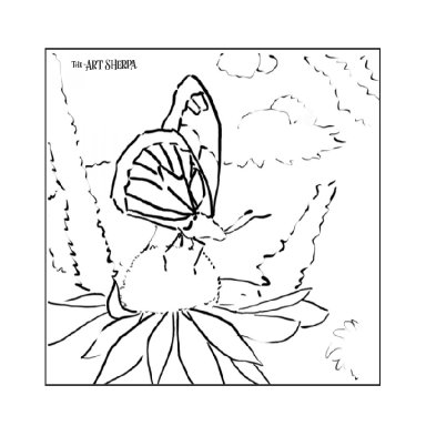 Garden Flowers and Butterfly