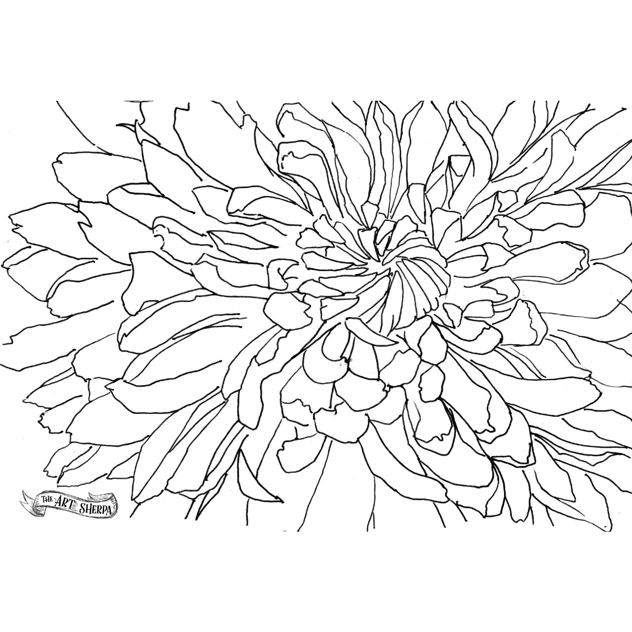 rainbow Chrysanthimum traceable .jpg