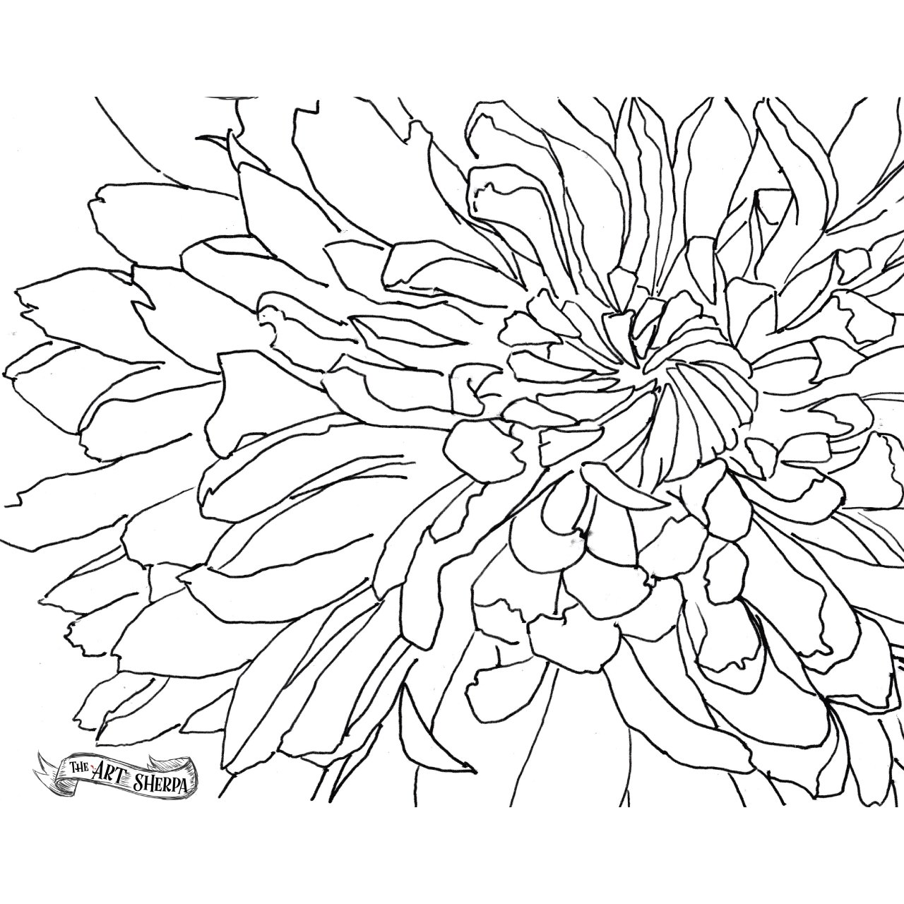 traceabale chrysanthimum .jpg