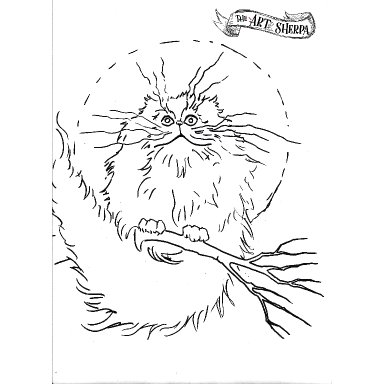 magical cat trace-able .jpg