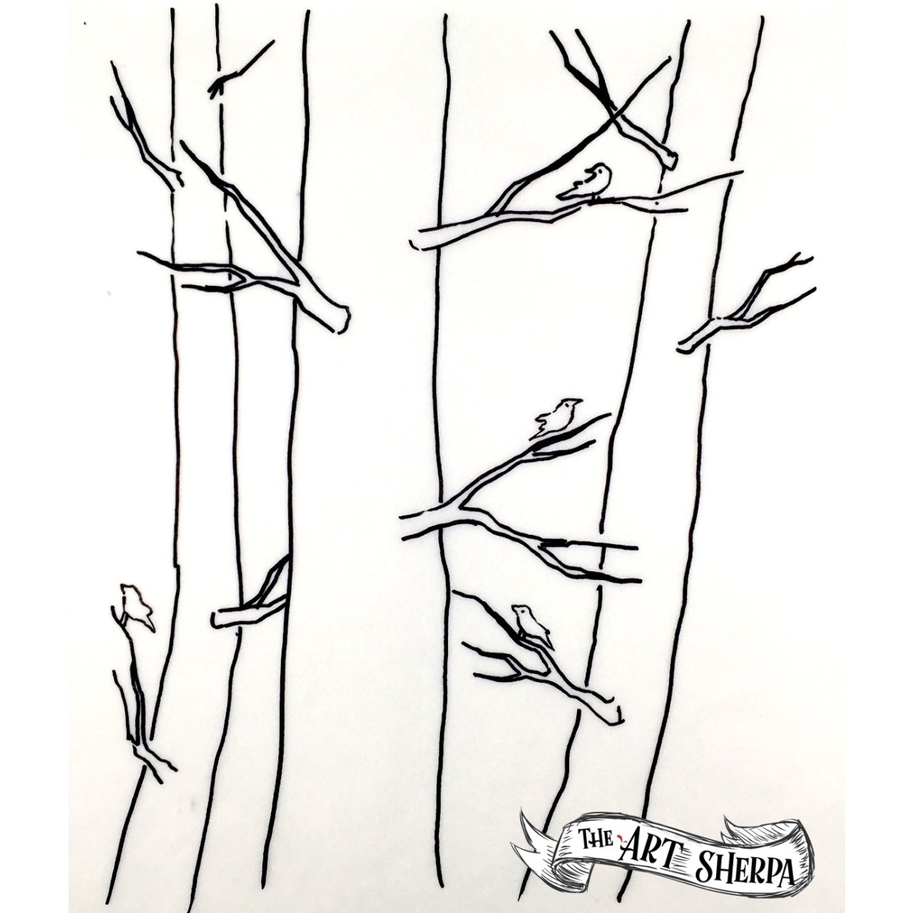 birch tree Birds 