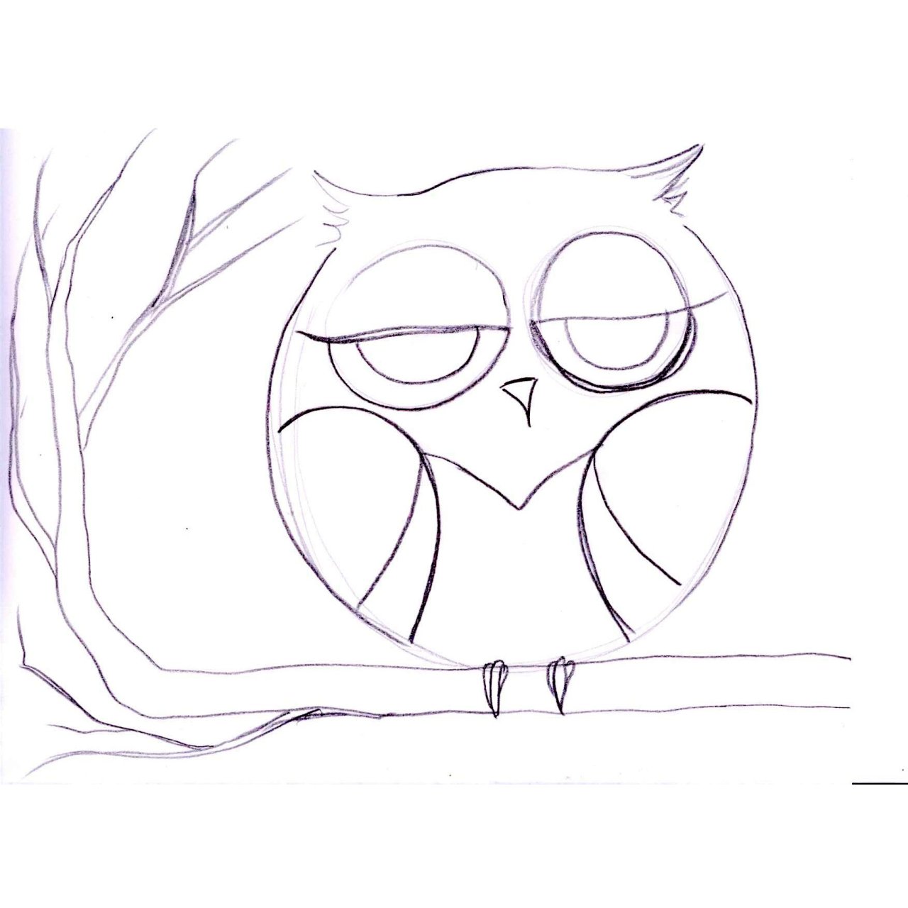 Colorful Owl