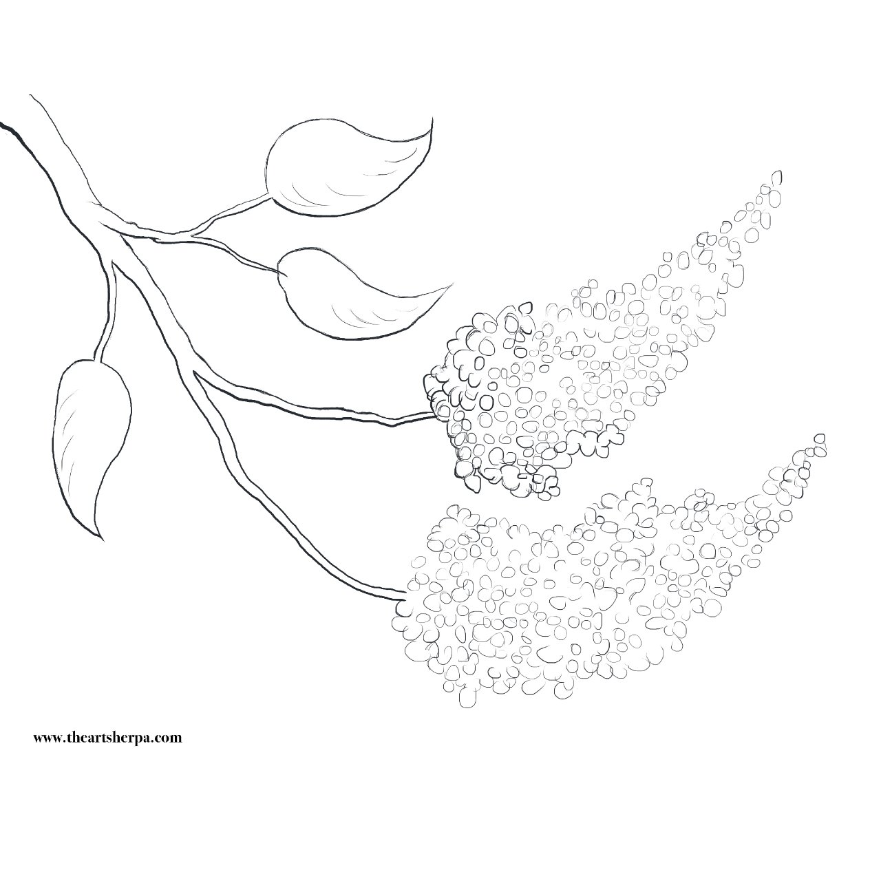 LILACS Cotton Swabs