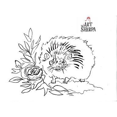 Hedgehog and Roses - IGTV