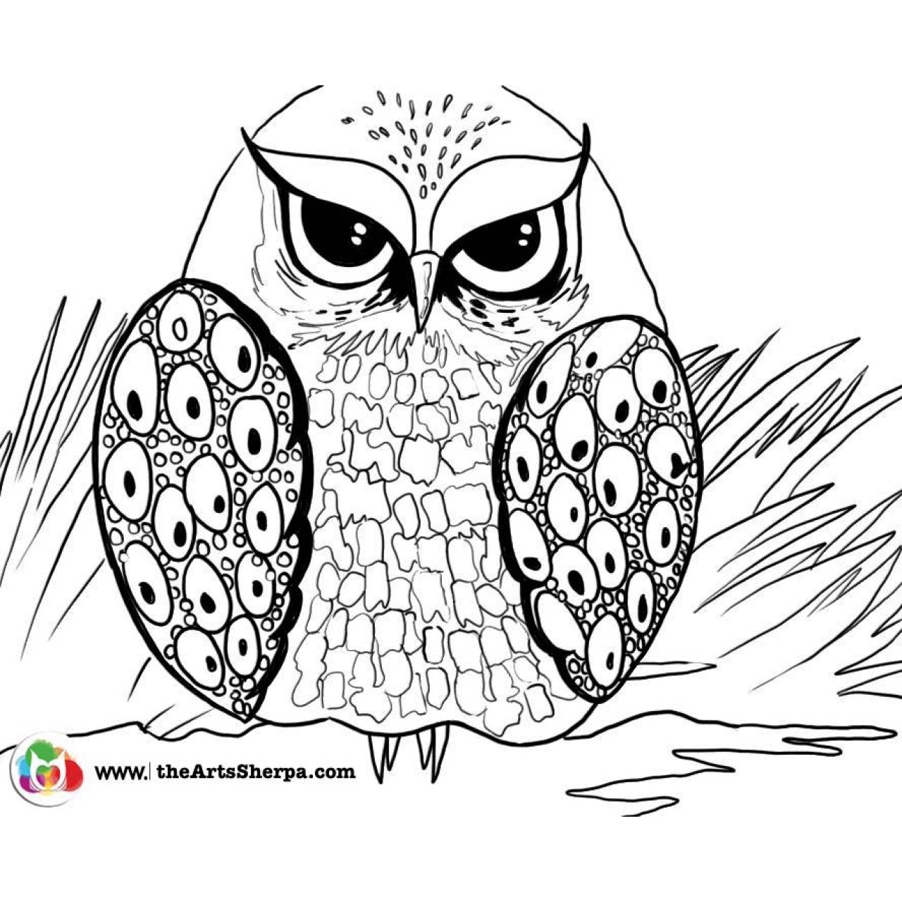 Grumpy Owl