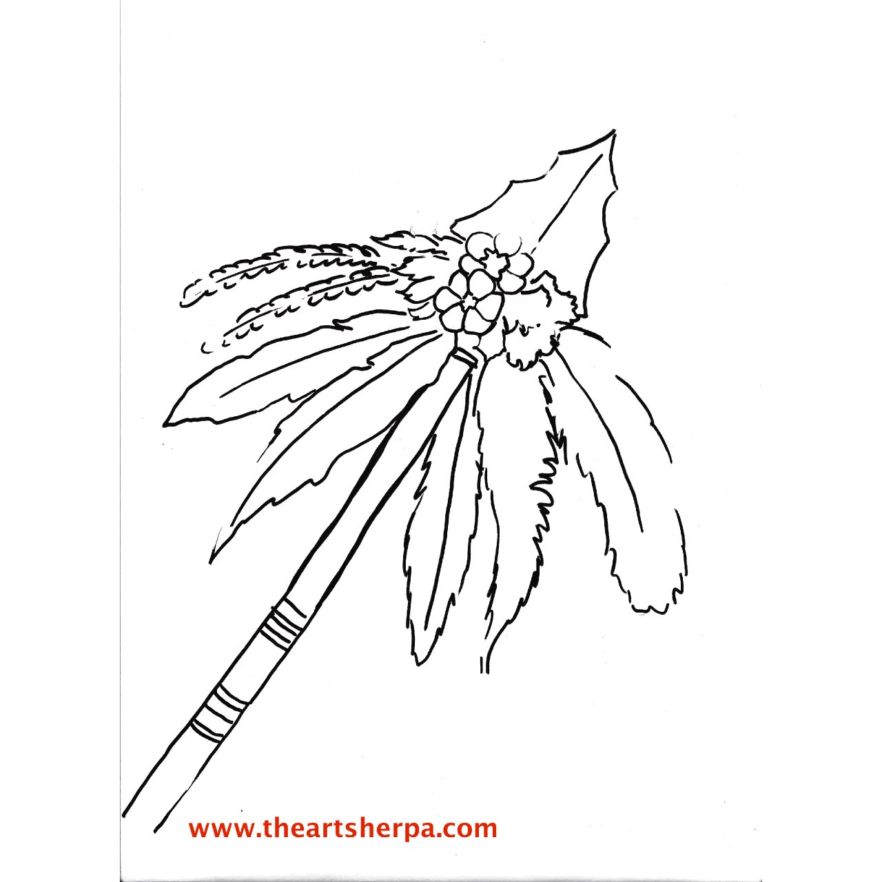 Bohemian Arrow Head Flowers And Feathers