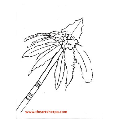 Bohemian Arrow Head Flowers And Feathers