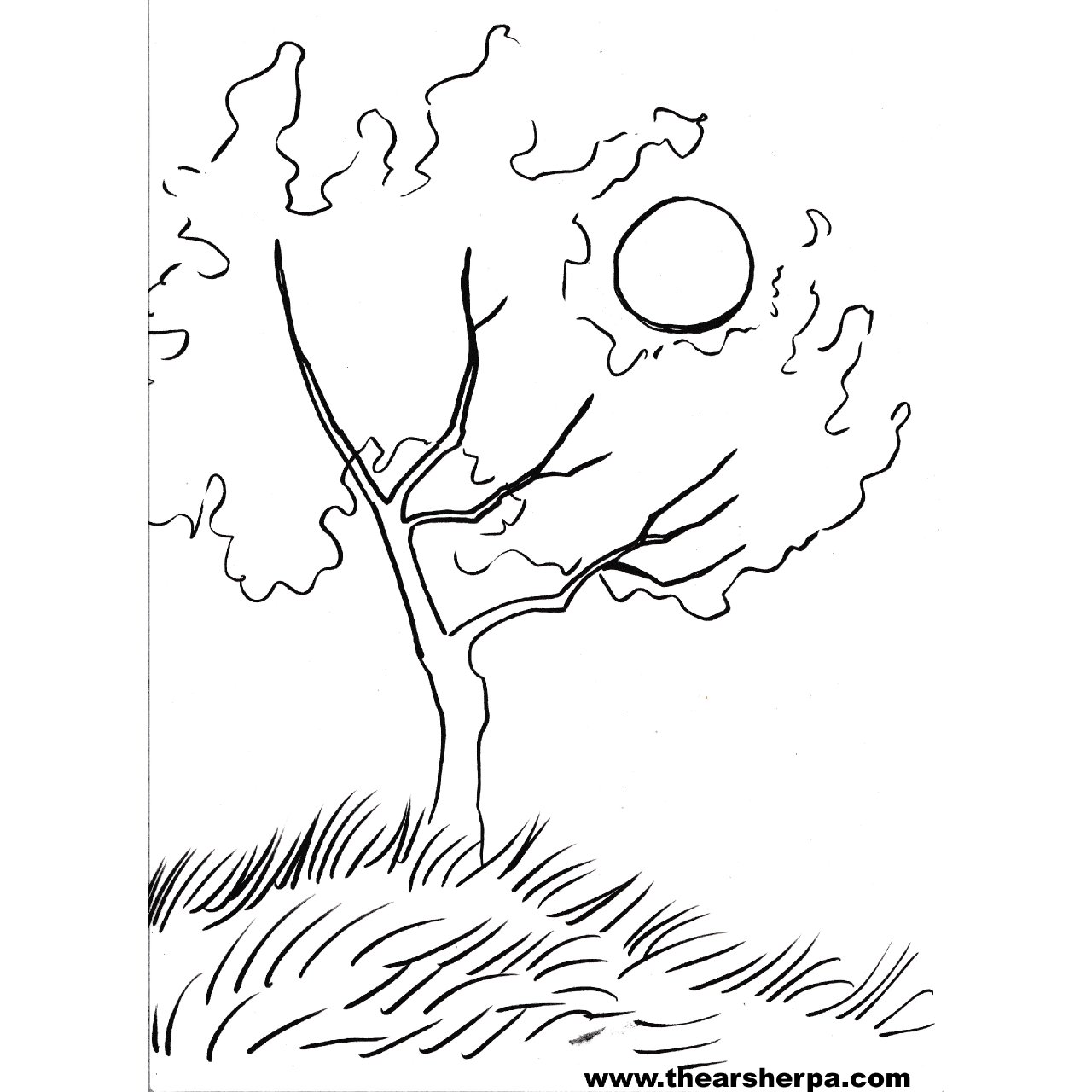 Fall Tree 