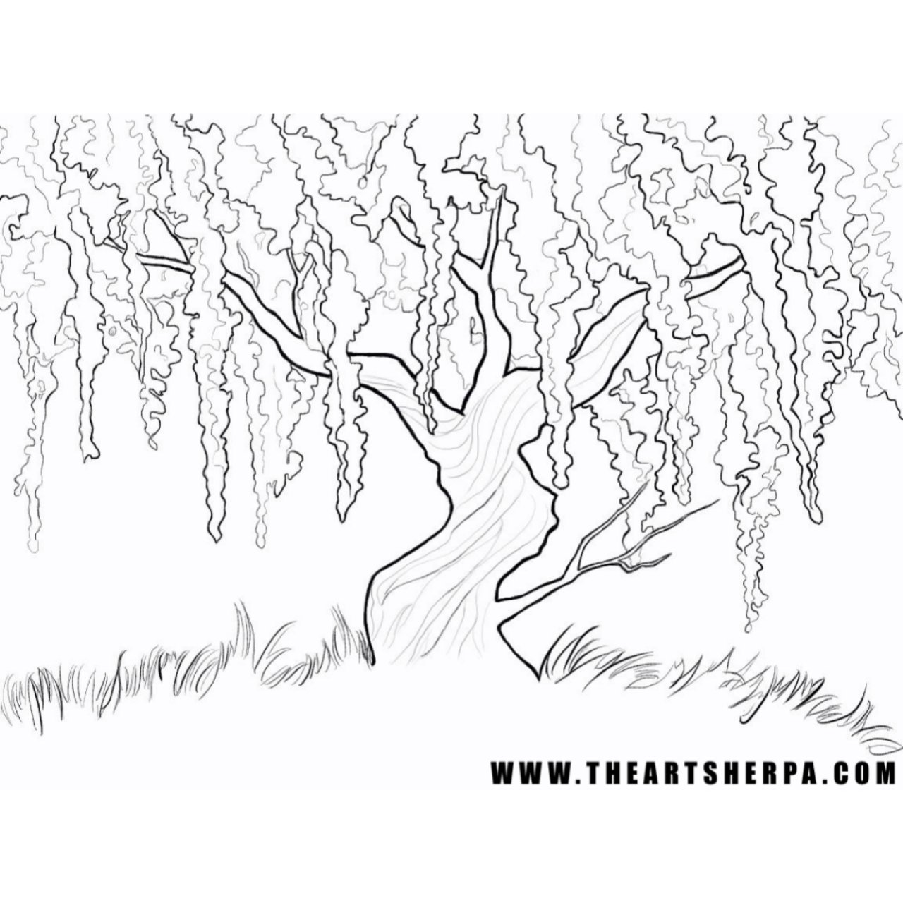 Wisteria Willow Tree Q Tip