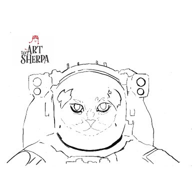 Space Cat 
