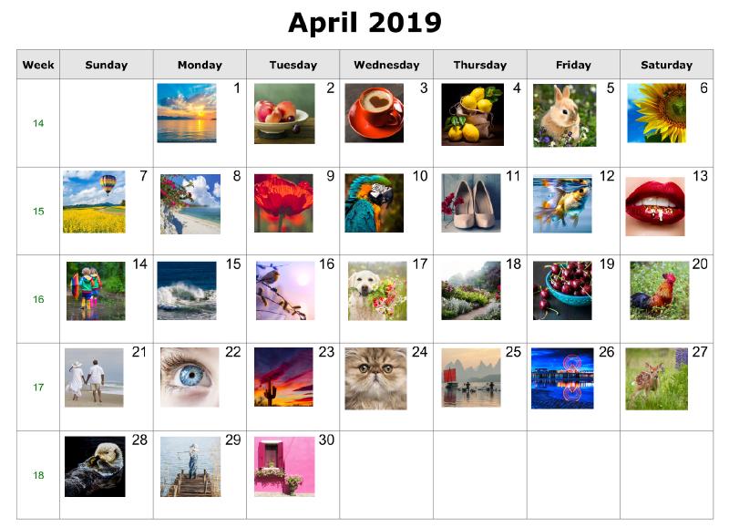 april2019 Art Sherpa  2 copy.jpg