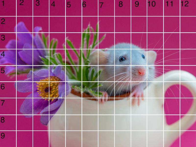 RAT GRID 9X12 .jpg