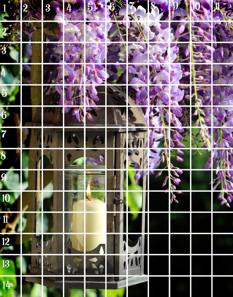 wisteria Candle 11x14 grid .jpg