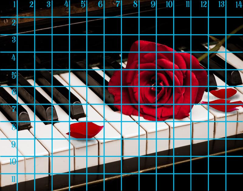 11x14 horizontal 1 rose piano .jpg