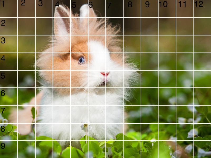 GRID 9X12 HORIZINTAL  bunny.jpg