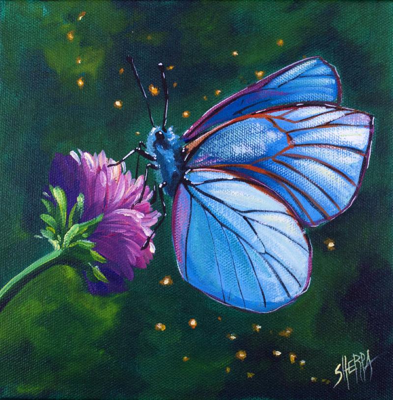 Blue Butterfly Easy Daily Painting Step By Step Acrylic Tutorials