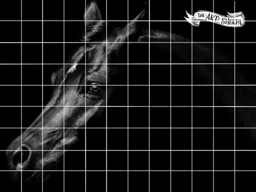 9x12 Grid horse.jpg