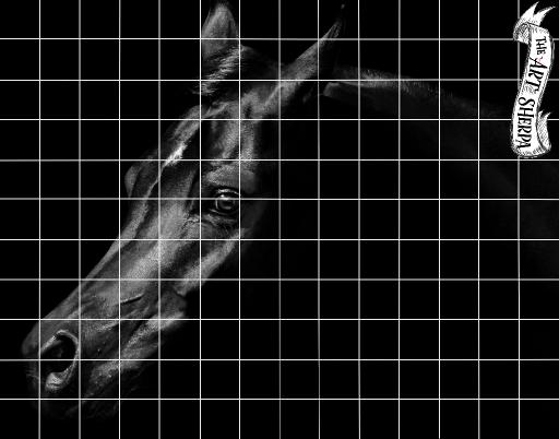 11x14 Grid horse.jpg