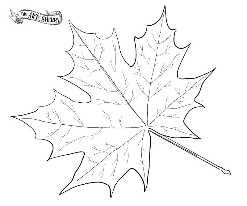 leaf traceable.jpg