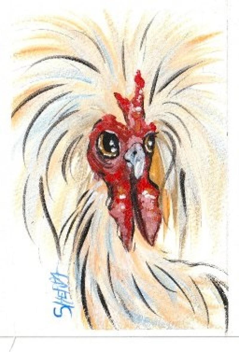 watercolor chicken 2.jpg