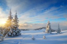 Snowscape dreamstime_xxl_45021281.jpg